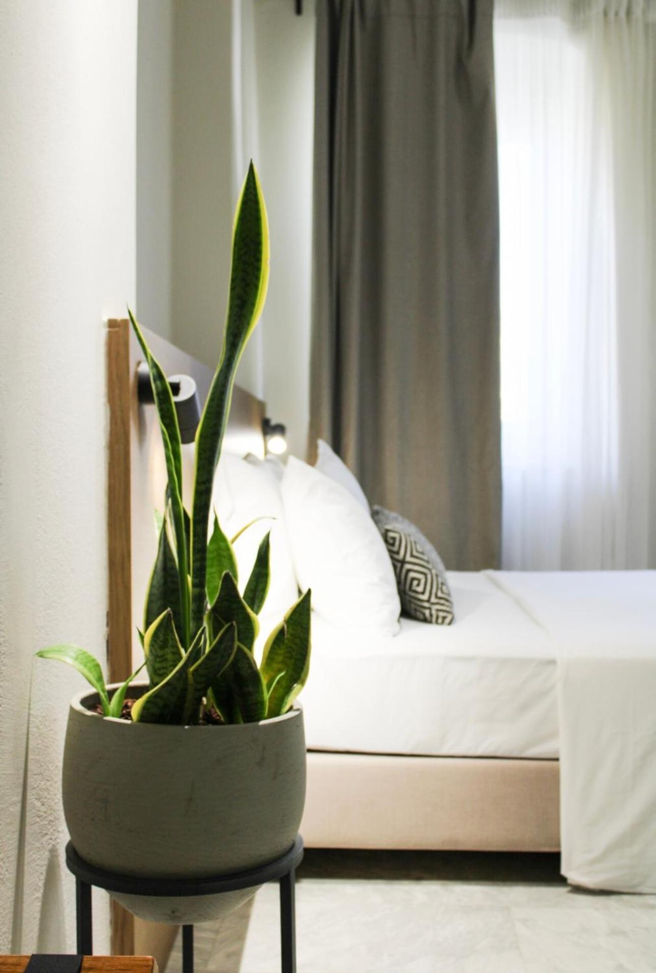 Oiko Mini Suites Ermupoli Zewnętrze zdjęcie